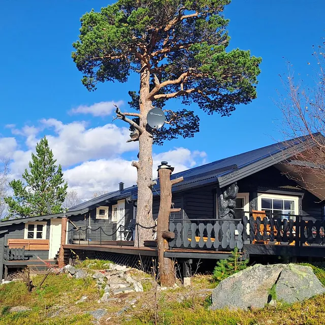 Grå hytte i skogen