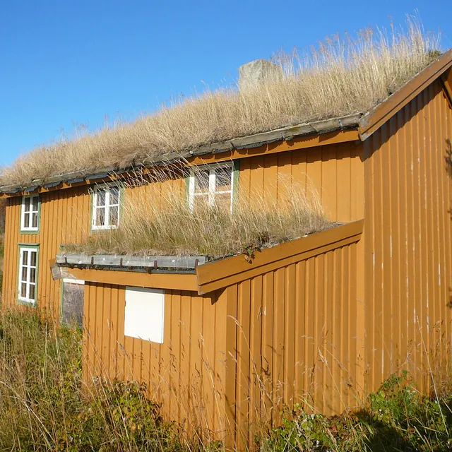 Eldre gult bygg med gresstak